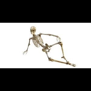 Meet your Posher, Jerome